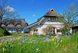 Ferienhaus Sonnenwinkel unterm Reetdach mit Sauna und Kamin