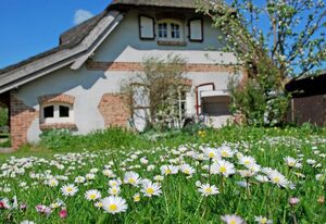 Ferienhaus Sonnenwinkel unterm Reetdach mit Sauna und Kamin