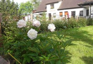 Ferienhaus To Hus   WE143 – Fewo 3