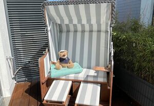 Kleine Robbe