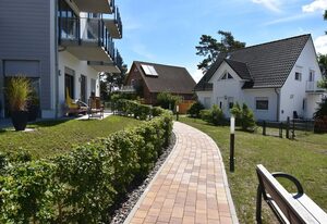 Kleine Robbe