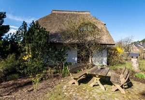 Ferienhaus in Baabe mit 2 Ferienwohnungen – Fernblick