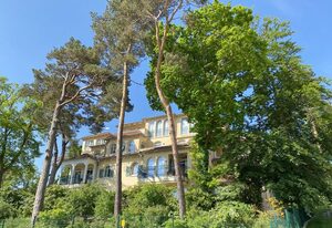 F: Grüne Düne Whg. 04 Dünentraum mit Terrasse