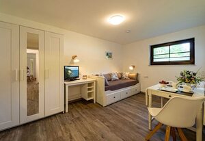 schöne 2-Raum Ferienwohnungen direkt am Selliner See