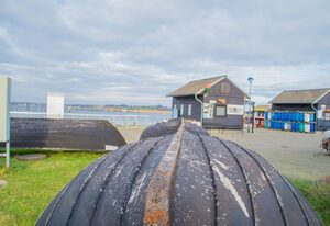 MR: Ferienhaus Ilsebill mit Sauna, Kamin & Hafenblick