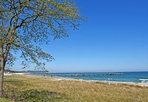 Appartementhaus am Strand m. Balkon Göhren (OR 01-09) – 08 schöne 1-Raum-Fewo mit Seeblick, Strandlage mit Balkon