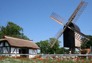 Ferienwohnung Waldnah