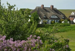 Reethaus Zickersche Berge in Gager | Wohnung 1