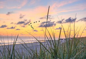 Meeresstrand