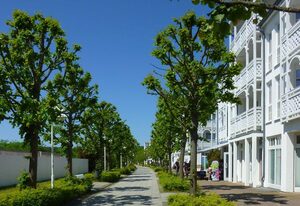Sommertraum 625 Komfort  FEWO Balkon ruhig zentral