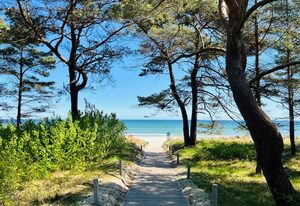 Dünenpark | Whg. 93 | Nur 100 Meter zum Strand! – Apartment 093