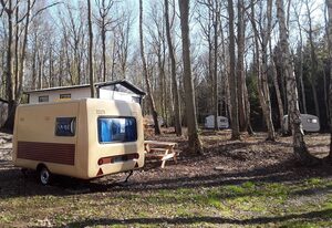 OSTALGIE INTERCAMP DIREKT AM STRAND - Nonnevitz auf Rügen – Wohnwagen 06 IC 335