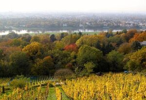 Fewo Natur und Kunst