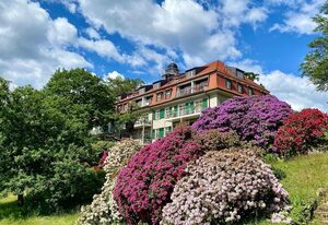 Fewo Natur und Kunst