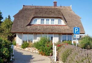 Reethus Reddevitz