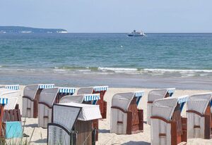 Dünenpark Binz | Wohnung 40 | Treibgut