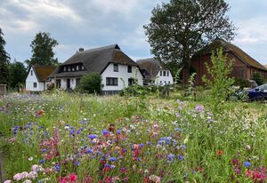 Rügen-Fewo 233 Groß Zicker Ferienhaus