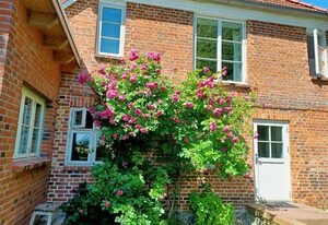 Ferienwohnung im Gutsverwalterhaus Vieregge