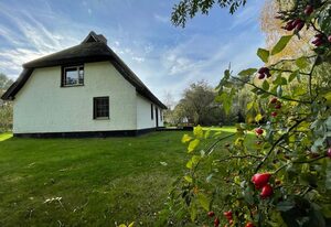 Ferienhaus mit Reetdach - HOL – FH Reetdach Waase