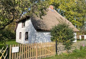 Ferienhaus mit Reetdach - HOL – FH Reetdach Waase