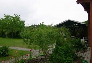 Ferienwohnungen SE-LF – Ferienwohnung Seeadler