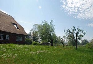 Ferienwohnungen in Groß Zicker auf der Insel Rügen – große Ferienwohnung mit Terrasse und Gartenblick (S)