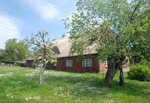 Ferienwohnungen in Groß Zicker auf der Insel Rügen – große Ferienwohnung mit Terrasse und Gartenblick (S)
