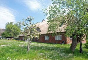 Ferienwohnungen in Groß Zicker auf der Insel Rügen – große Ferienwohnung mit Terrasse und Gartenblick (S)
