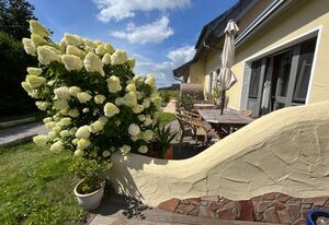 Ferienwohnungen am Selliner See mit Terrassen – 04 Ferienwohnung am Seliner See mit Terrasse