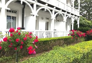 Villa Jugendglück FV 1 – Appartement 1