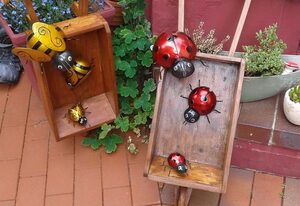 Appartements und Ferienwohnungen in Baabe – Appartement 1