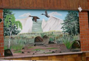 Appartements und Ferienwohnungen in Baabe – Appartement 1