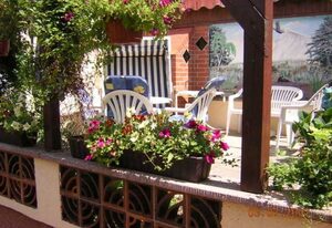 Appartements und Ferienwohnungen in Baabe – Appartement 1