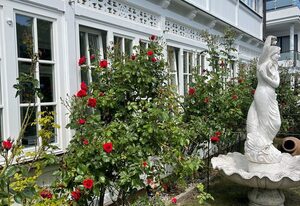 Villa Waldrose**** – Fewo 1