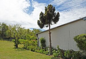 4 - Sterne Ferienhaus Am Brink mit Gartenter. und Meerblick