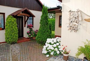ruhig gelegene Ferienhäuser am Selliner See – Ferienhaus Charlotte mit Terrasse