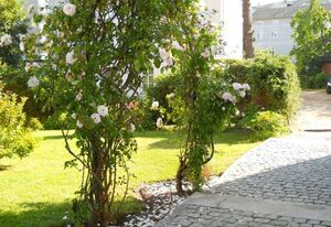 Villa Monique in Alt-Sassnitz – Ferienwohnung Alma