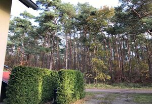 Ferienhaus Sonnenschein in Breege