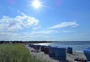 Glowe - Doppelferienhaus Sonnenstrand / ASM – Doppelhaushälfte  / Sonnenstrand Nr. 5