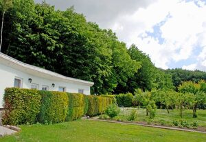 Ferienwohnung Patzig mit Sonnenterrasse – Ferienwohnung Patzig Lee
