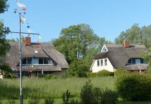 Behagliches Reetdachhaus Eibe 1 Sauna Kamin Wallbox – DHH Eibe 1