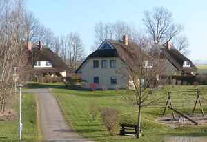 Behagliches Reetdachhaus Eibe 1 Sauna Kamin Wallbox – DHH Eibe 1