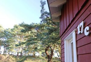 W: Strandhaus Dünenweg 17c mit Terrasse/Kamin