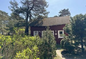 W: Strandhaus Dünenweg 17c mit Terrasse/Kamin