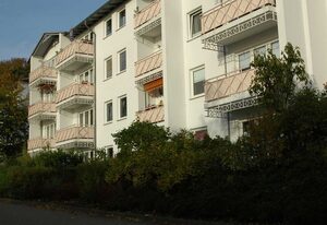 Lachmöwe