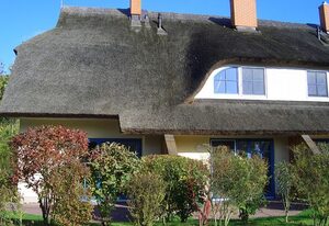 Reetdachhaus Malve 3 im Feriendorf Puddeminer Wiek – RMH Malve 3
