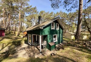 W: Strandhaus Dünenweg 28l mit Terrasse/Kamin/Thermium
