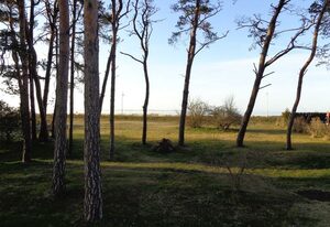 Ferienhaus Windrose