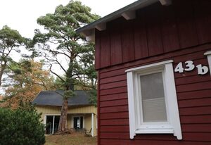 W: Strandhaus Dünenweg 43b mit Terrasse/Kamin