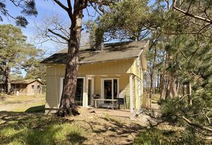 W: Strandhaus Dünenweg 17a mit Terrasse/Sauna/Kamin